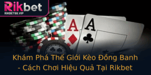Kham Pha The Gioi Keo Ong Banh Cach Choi Hieu Qua Tai Rikbet
