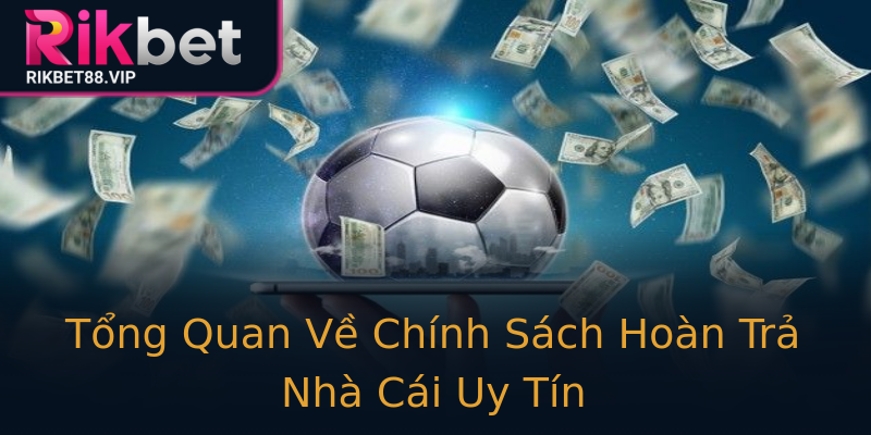 Tổng Quan Về Chính Sách Hoàn Trả Nhà Cái Uy Tín Tổng Quan Về Chính Sách Hoàn Trả Nhà Cái Uy Tín