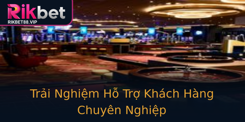 Trải Nghiệm Hỗ Trợ Khách Hàng Chuyên Nghiệp Trải Nghiệm Hỗ Trợ Khách Hàng Chuyên Nghiệp